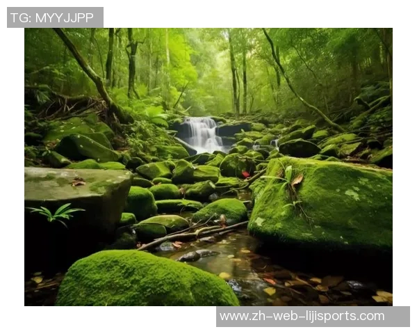 绿色森林与纽波特的生态对比与可持续发展探讨